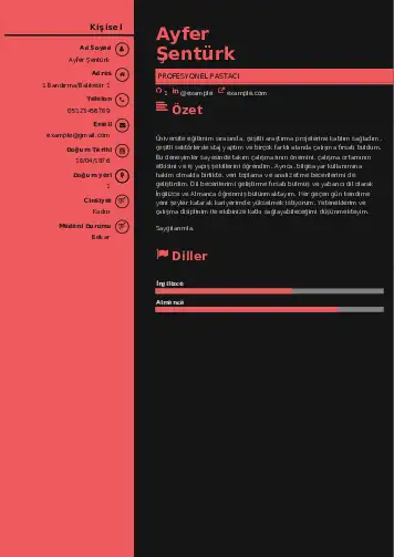 Pastacı Cv Örnekleri cv indir